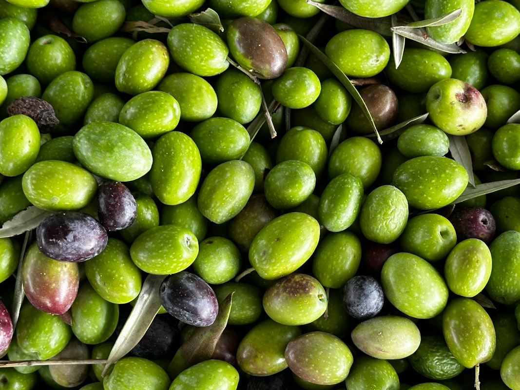 Comprendre le cholestérol LDL et HDL